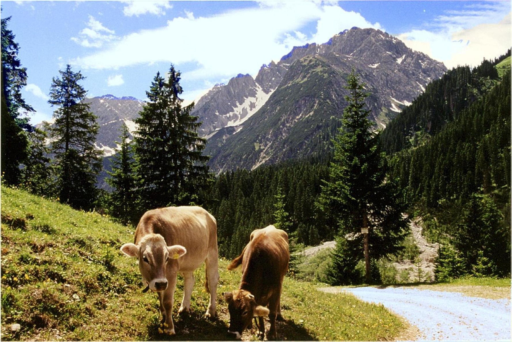 Gasthof Bergheimat Boden ภายนอก รูปภาพ